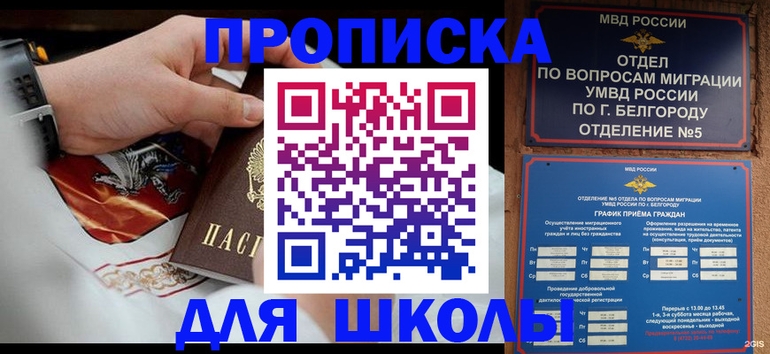 пропишу в квартире в Лыткарино