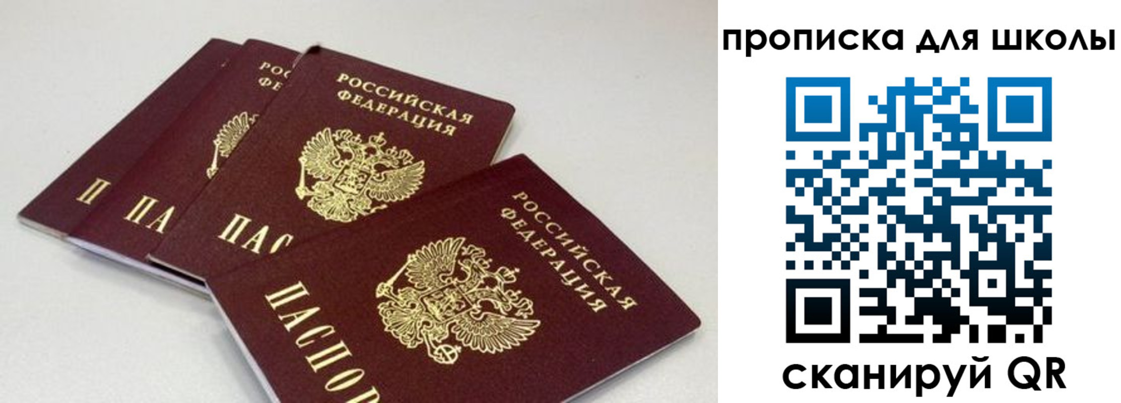 прописка для школы в Лыткарино